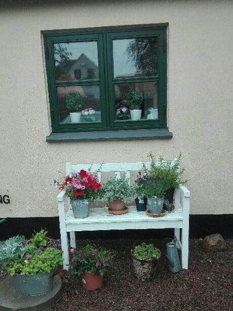 Pegasus Bed And Breakfast Helsinge Zewnętrze zdjęcie